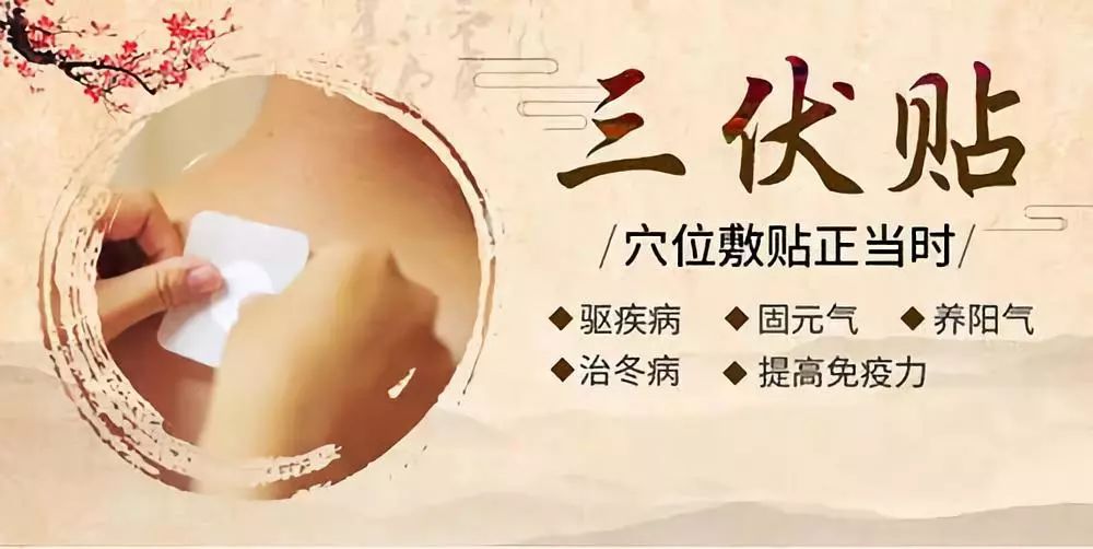 關(guān)于三伏貼，你了解多少呢？