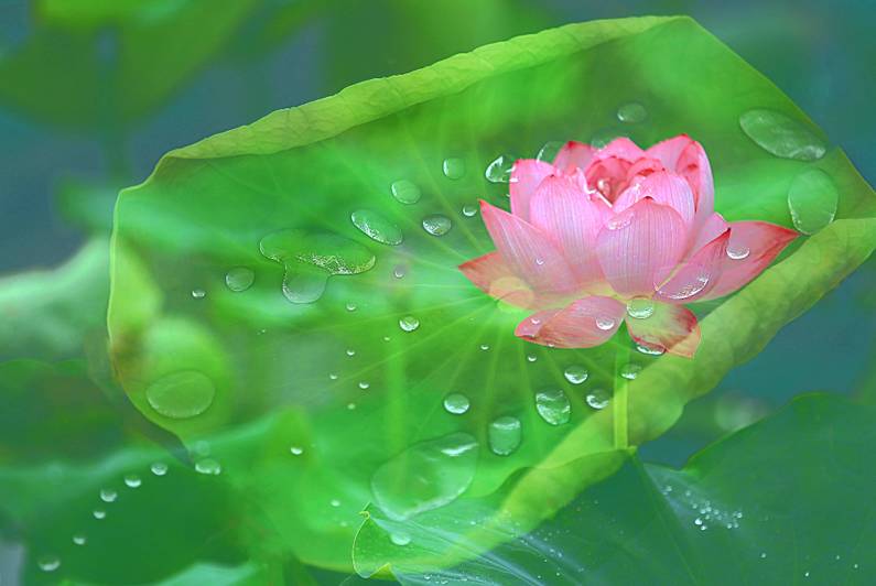 醫(yī)療器械網(wǎng)：失眠該怎么辦？