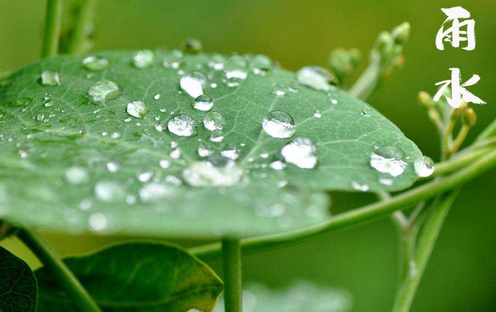 雨水！